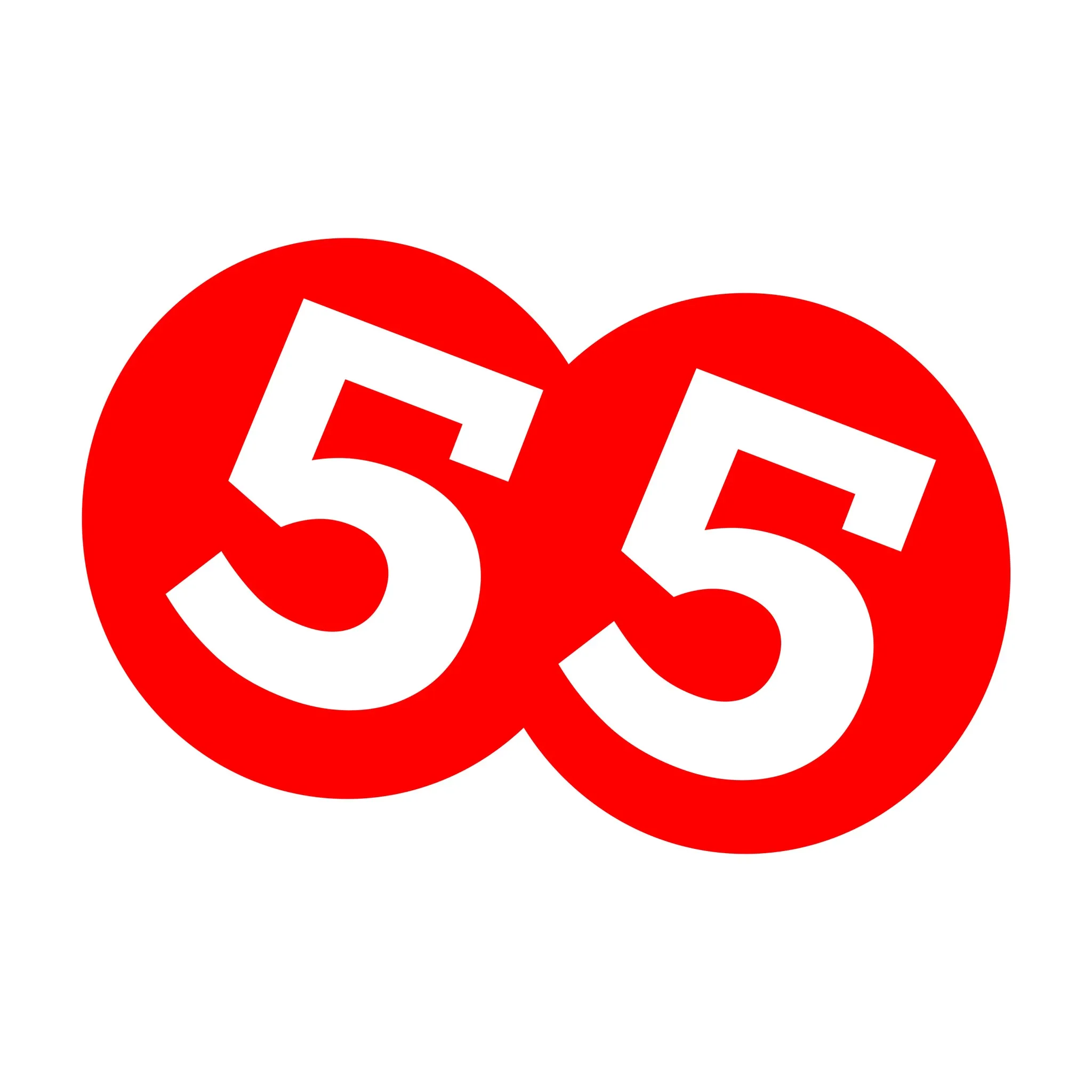 55FIVE - Pertarungan Epik di Dunia Aksi